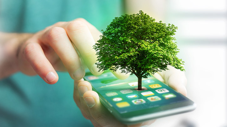 Smartphone mit Baum